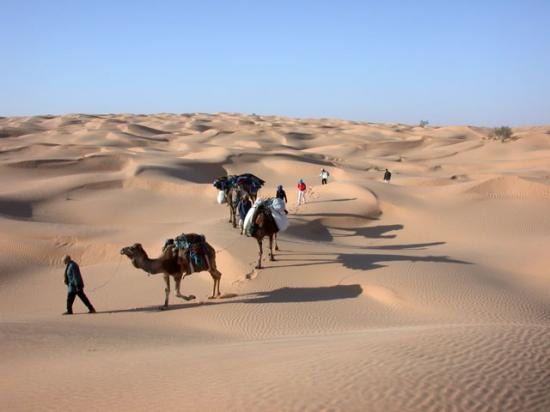  desert tunisie