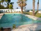 agence immobiliére hammamet
