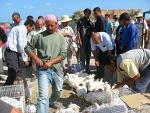 tunisie marché