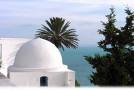 un voyage en tunisie