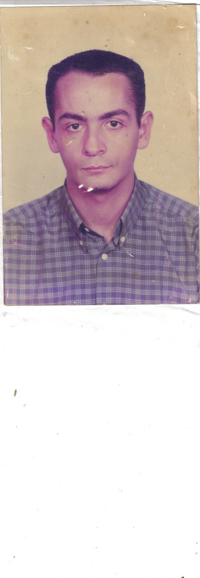 Lastscan